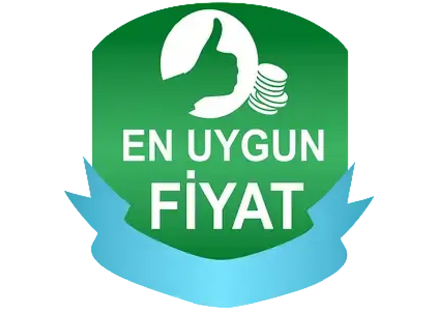 Vozol Puff Rehberi: 10000’den 50000 Puff’a Tüm Modeller ve Aromalar